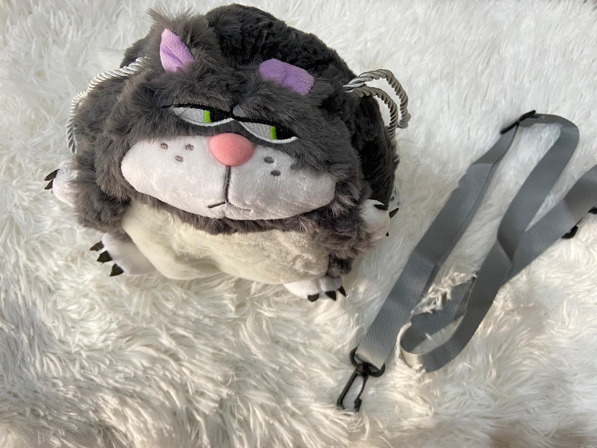 กระเป๋าน้องแมว