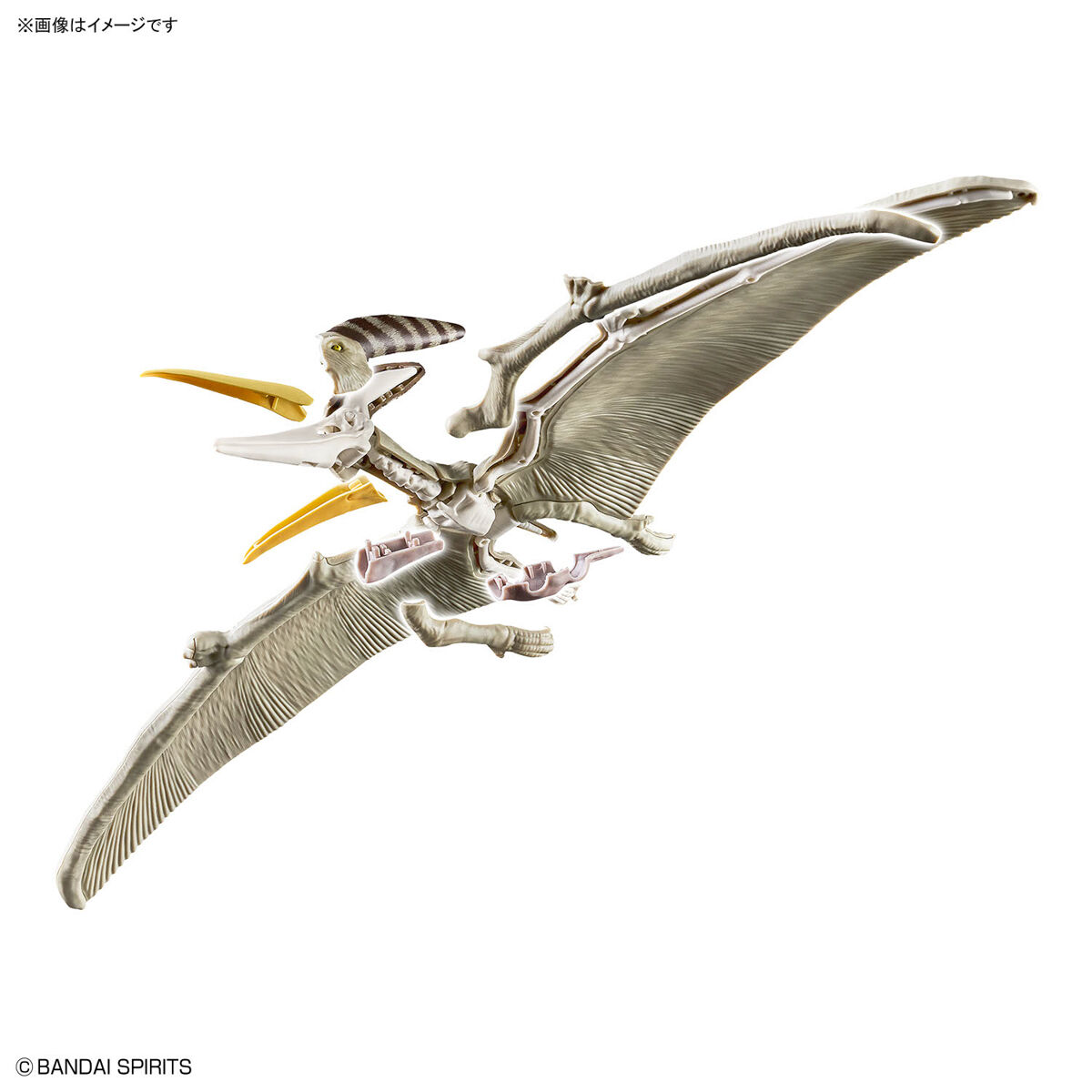 PLANNOSAURUS PTERANODON