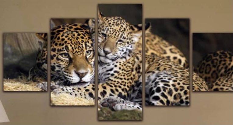 เบญจเฟรม