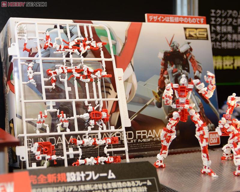 MBF-P02 Gundam Astray Red Frame (RG) (Gundam Model Kits)