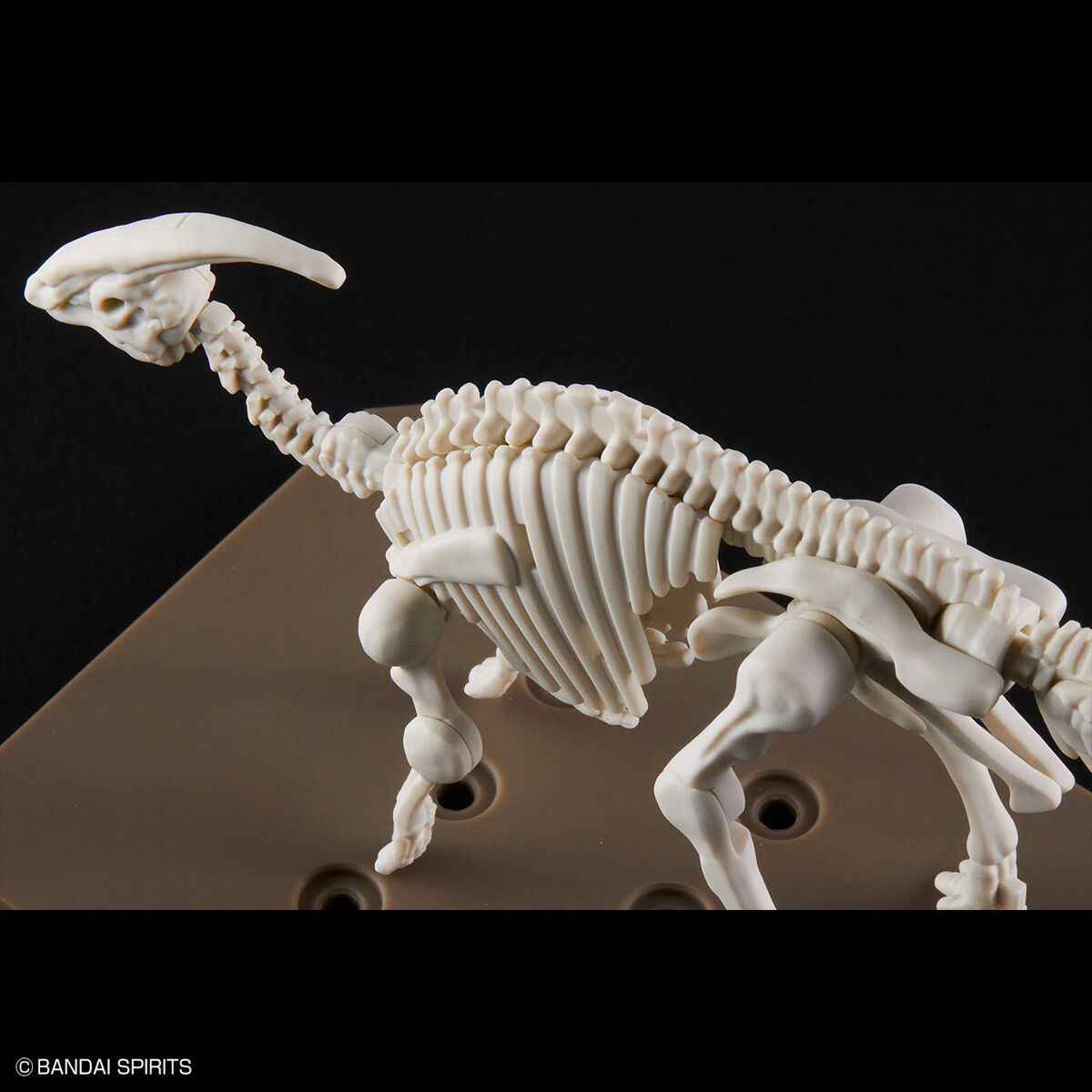 PLANNOSAURUS PARASAUROLOPHUS