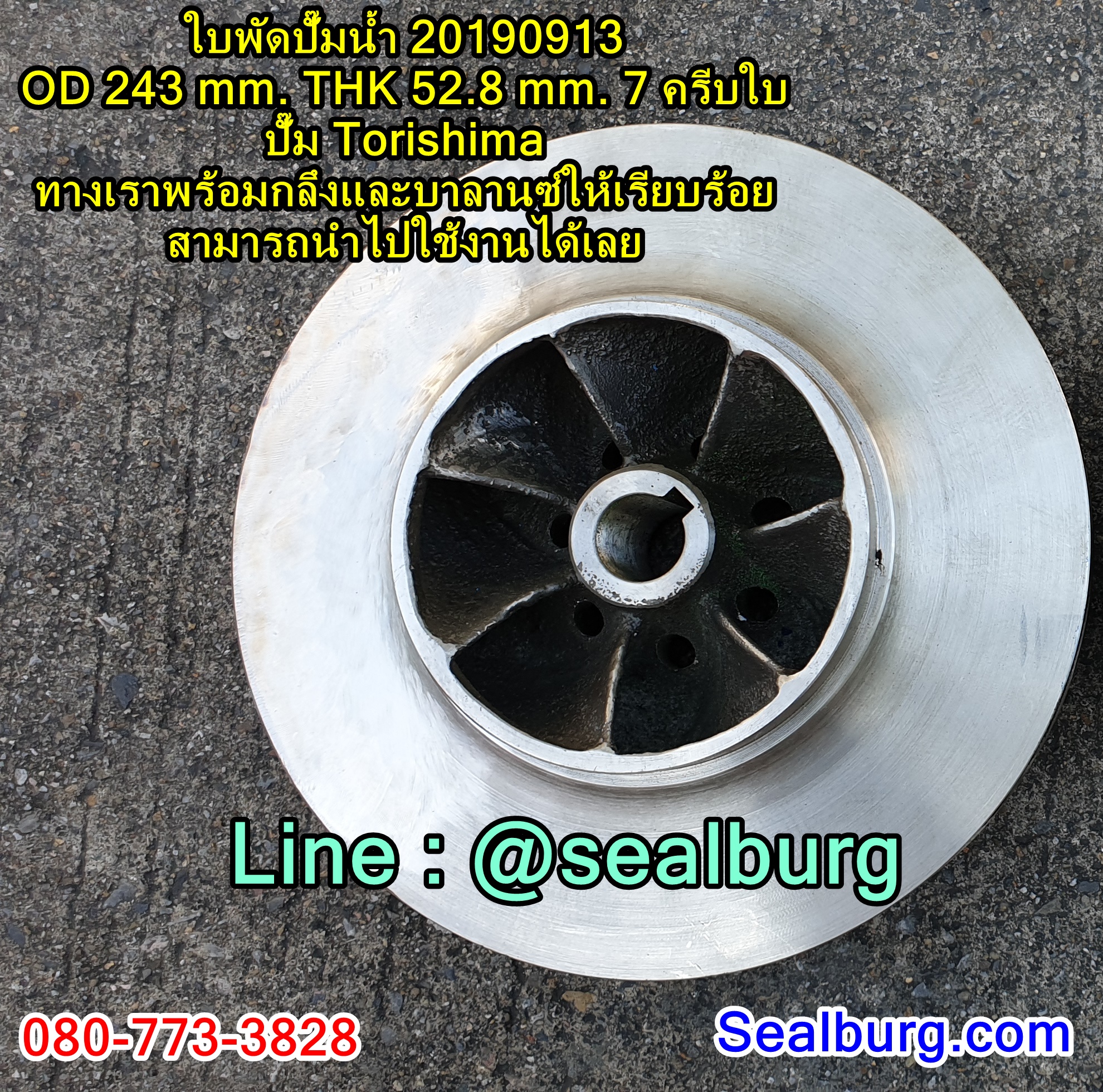 ใบพัดปั๊มน้ำ 20190913 OD 243 mm. THK 52.8 mm. ปั๊ม Torishima