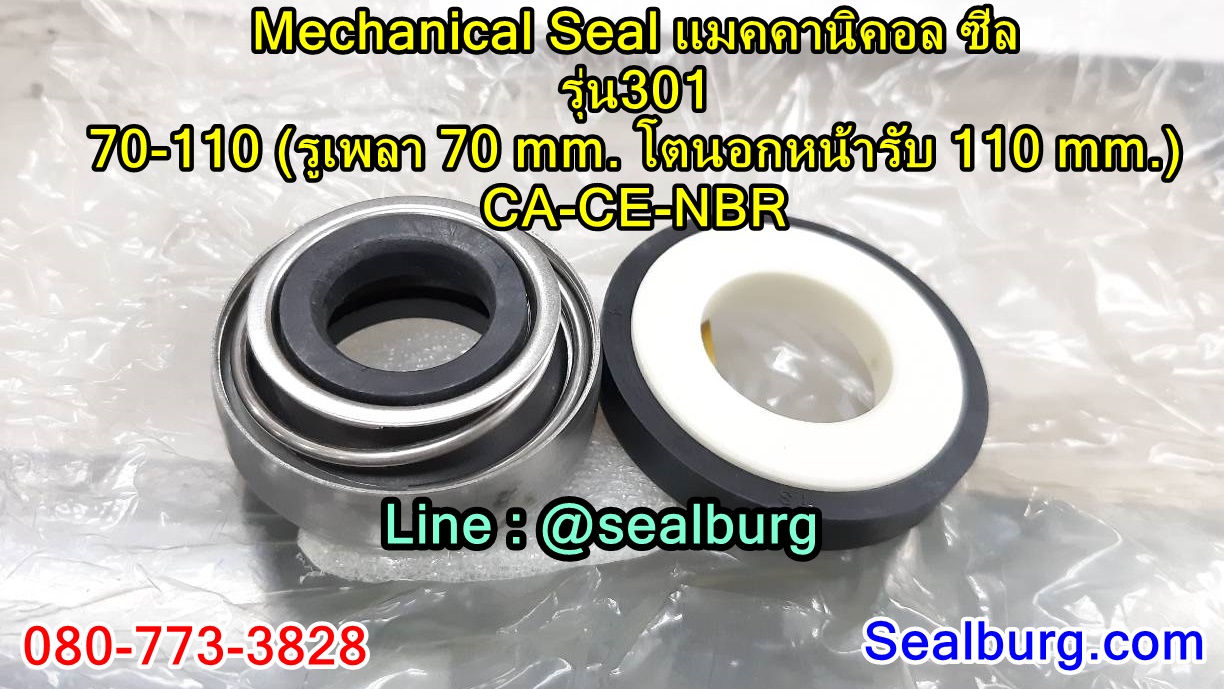 Mechanical Seal แมคคานิคอล ซีล : รุ่น301 : 70-110 CA-CE-NBR