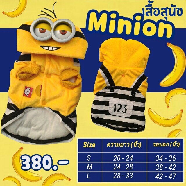 เสื้อสัตว์เลี้ยง สุดน่ารัก