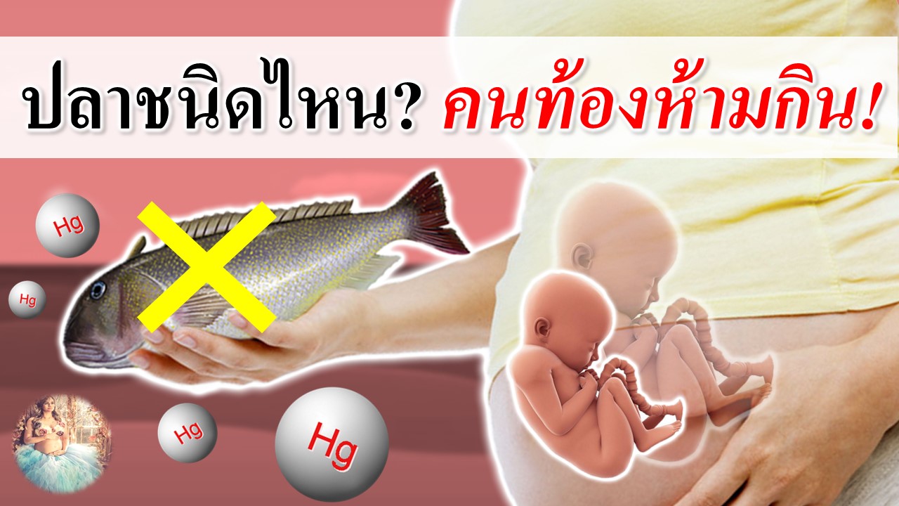ปลาชนิดไหน? ที่คนท้องห้ามกิน!