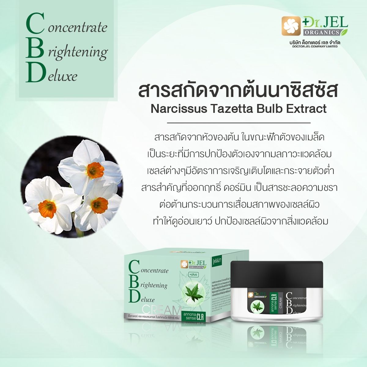 CBD Cream สารสกัดจากต้นนาซิสซัส
