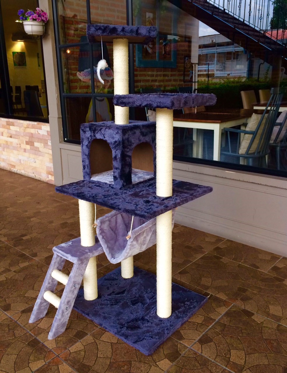 คอนโดแมว โทนม่วง พร้อมที่ลับเล็บ ที่นอน