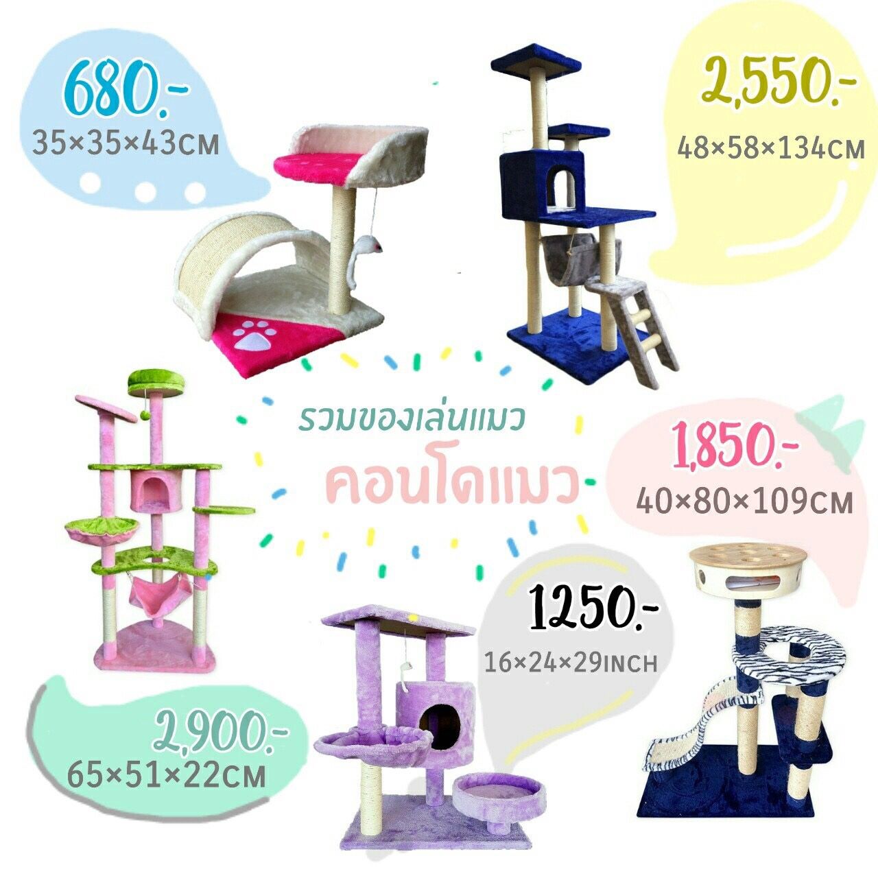 คอนโดน้องแมว หลากหลายรูปแบบ