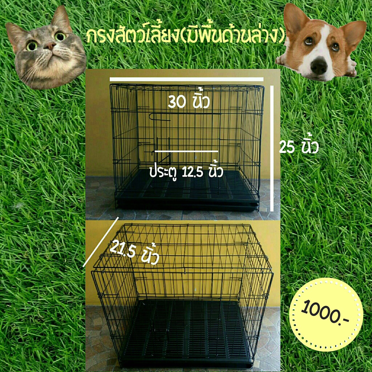 กรงสุนัข กรงแมว และสัตว์เลี้ยง