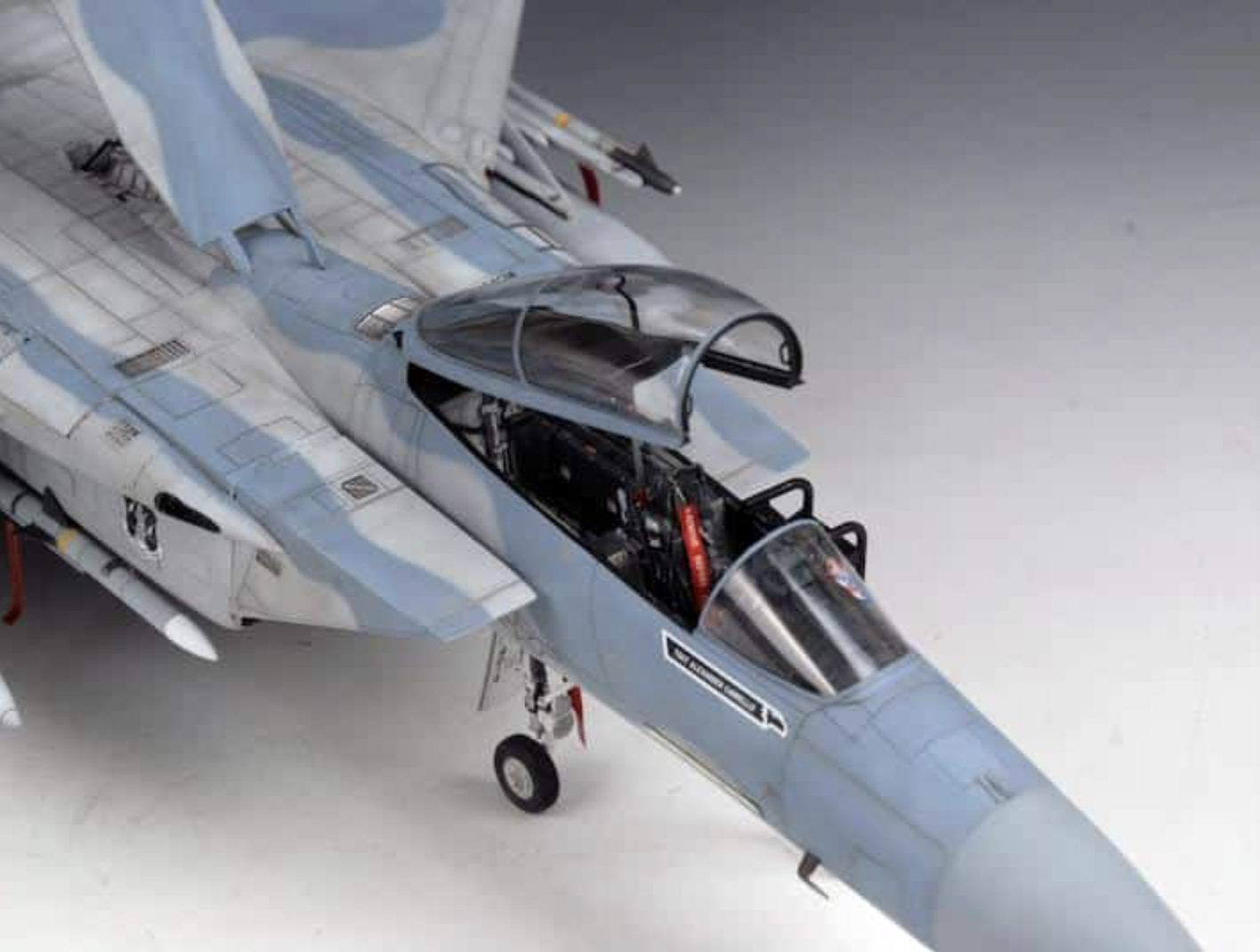 1/32 SCALE McDONNELL DOUGLAS F-15C EAGLE