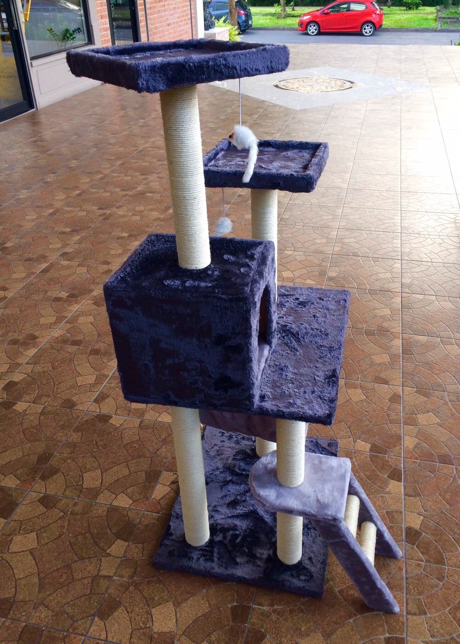 คอนโดแมว โทนม่วง พร้อมที่ลับเล็บ ที่นอน