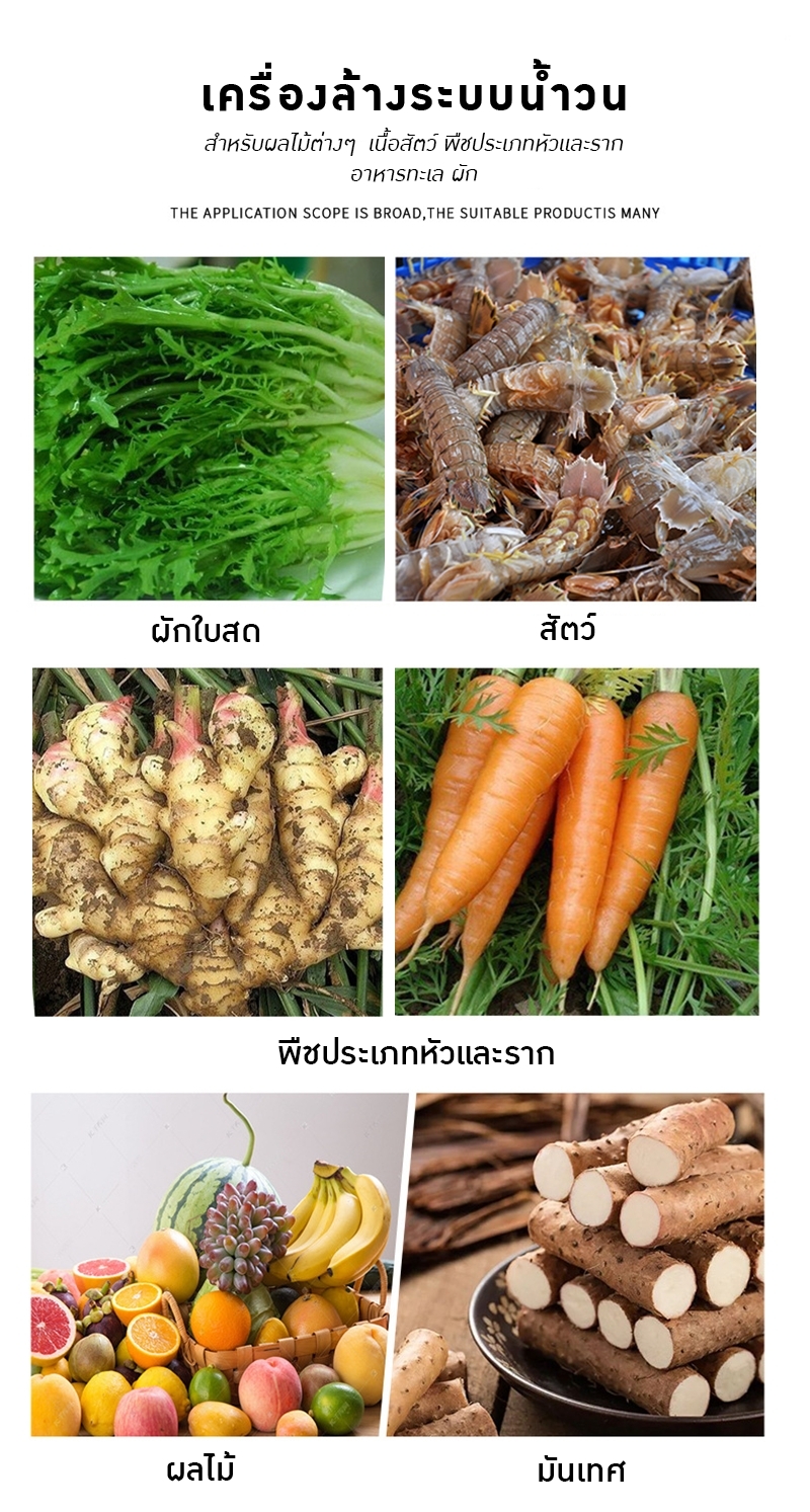 19805 เครื่องล้างระบบน้ำวนขนาดเล็ก 300 ลิตร