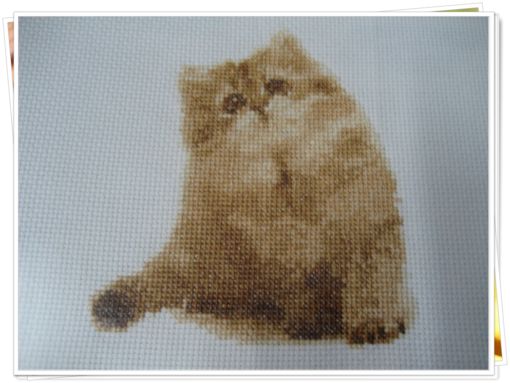 ครอสติสปักแล้ว รูปแมวเปอร์เซีย