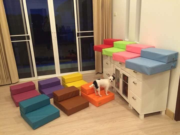 บันไดสำหรับสัตว์เลี้ยง