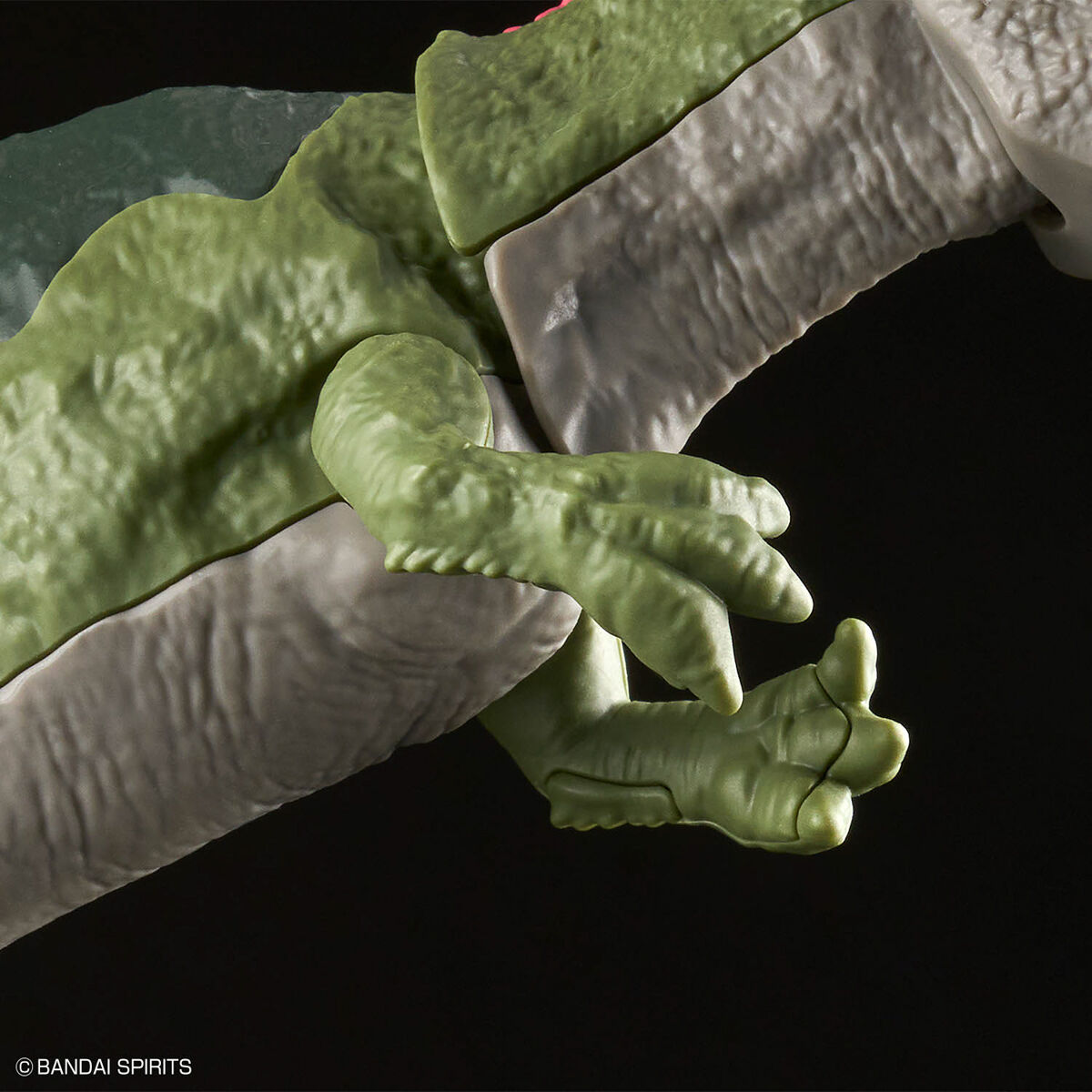 PLANNOSAURUS GIGANOTOSAURUS