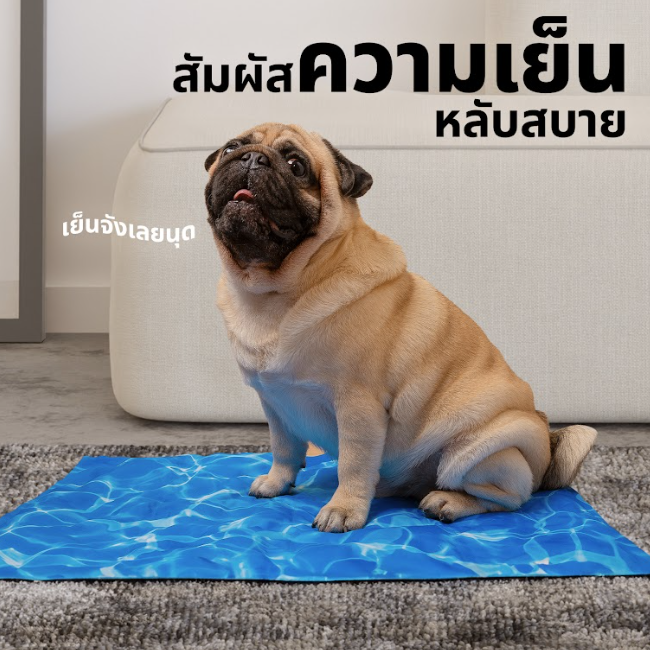 ที่นอนเจลเย็นสัตว์เลี้ยง