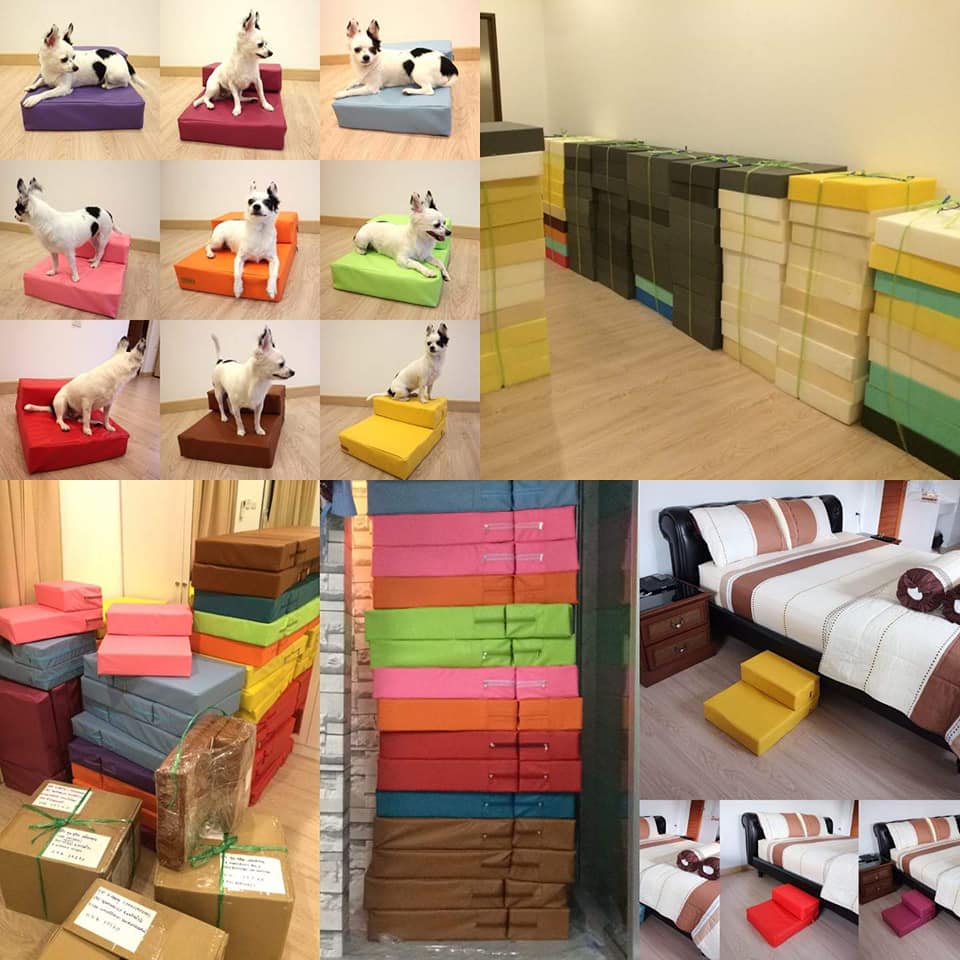 บันไดสำหรับสัตว์เลี้ยง