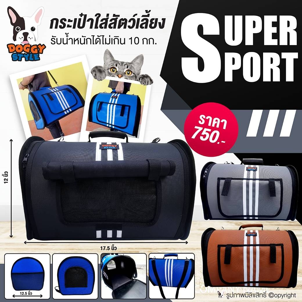 กระเป๋าใส่สัตว์เลี้ยง สไตล์สปอร์ต