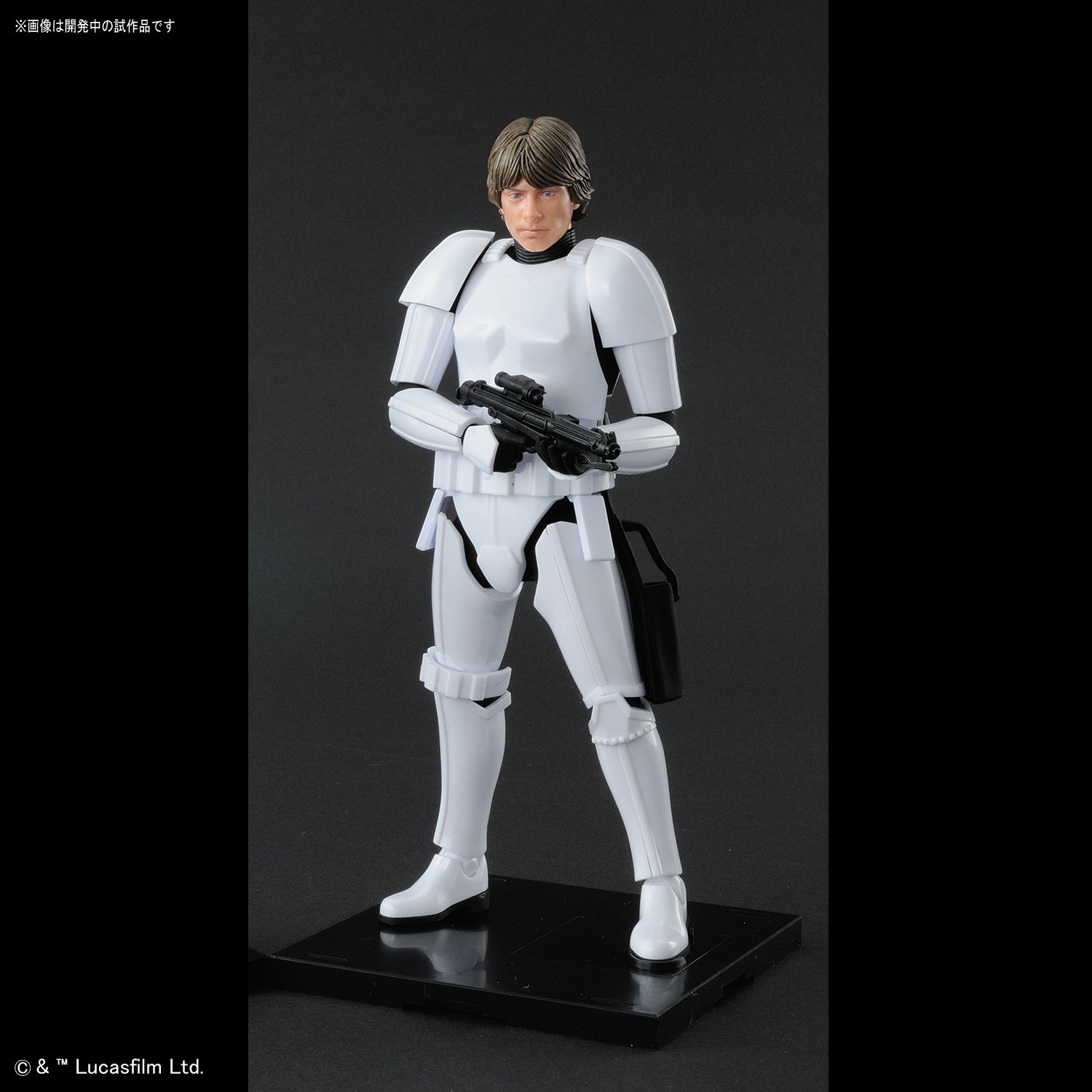 1/12 Plastic Model Luke Skywalker Stormtrooper