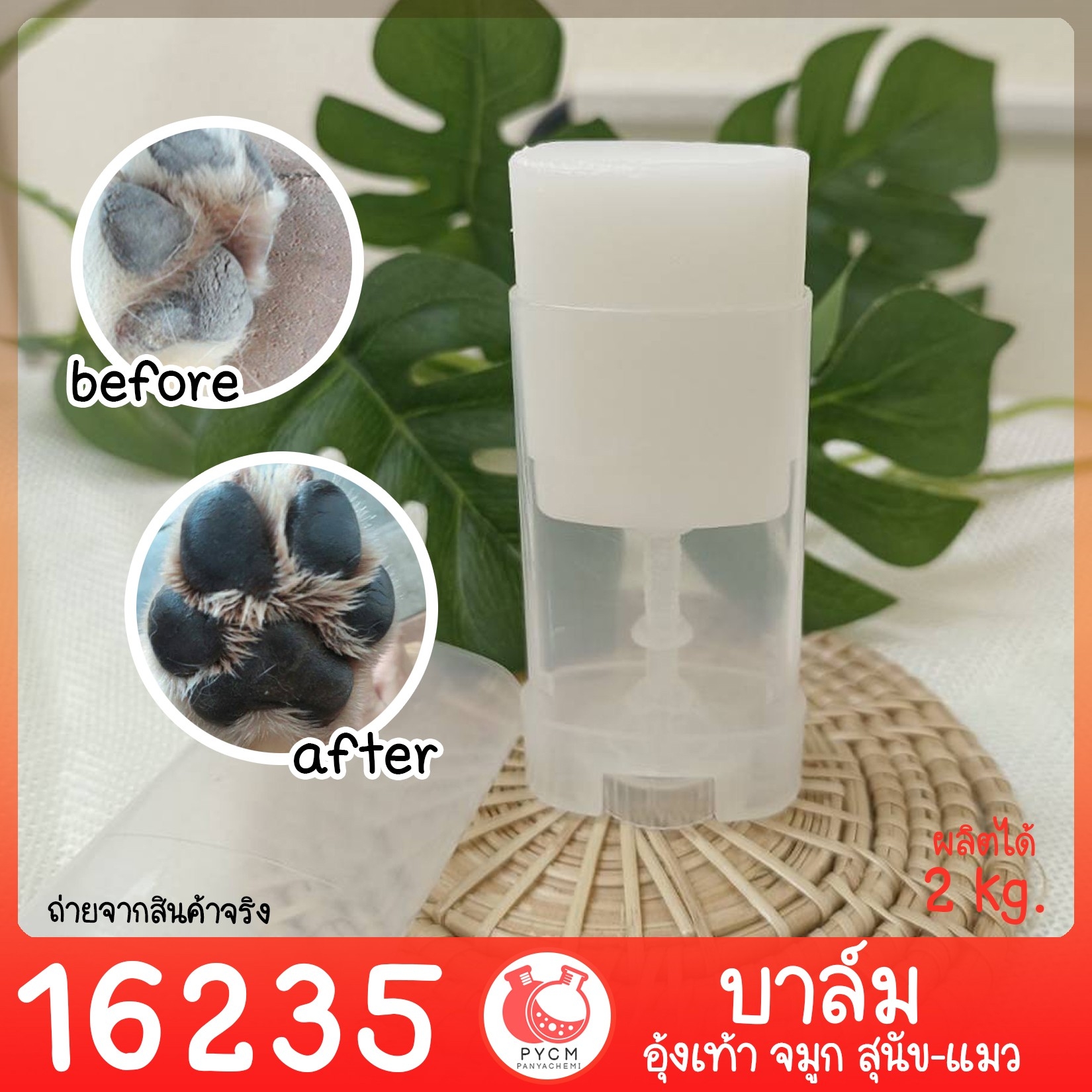 🍒16235 ชุดทำ บาล์มทาอุ้งเท้า และจมูกสัตว์ สุนัข แมว สามารถผลิตได้ 2 กก.