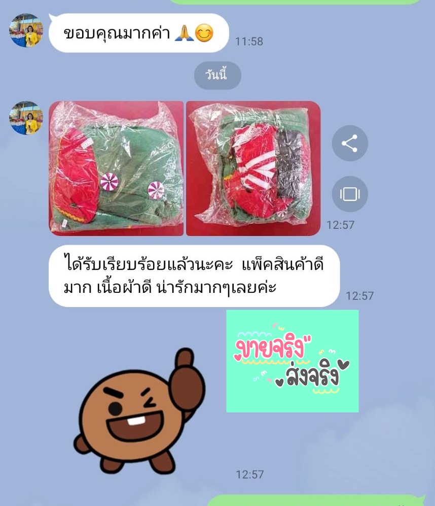 ชุดแฟนซีผู้ใหญ่ เอลฟ์สาวอวบ