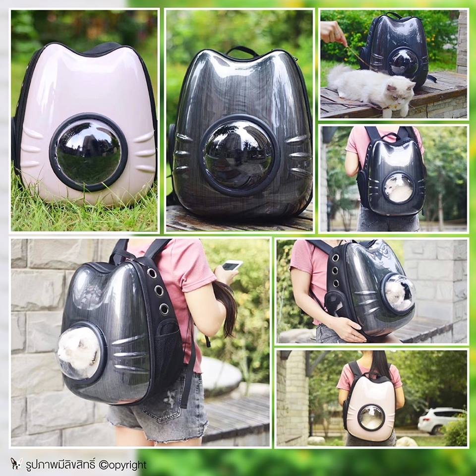 กระเป๋าเป้อวกาศ ใส่สัตว์เลี้ยง