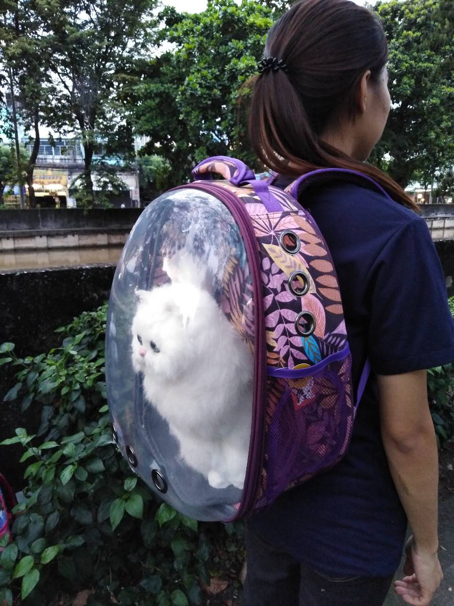 กระเป๋าเป้แคปซูล สำหรับสัตว์เลี้ยง