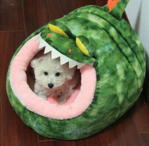 อุโมงค์ที่นอน