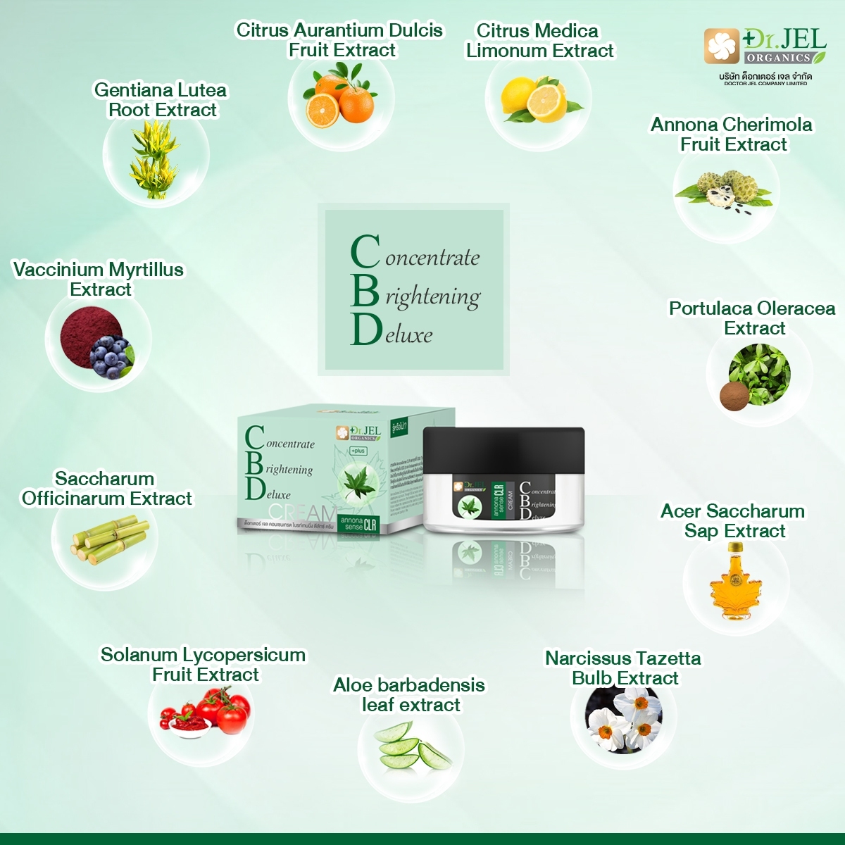 ส่วนประกอบสำคัญใน CBD CREAM