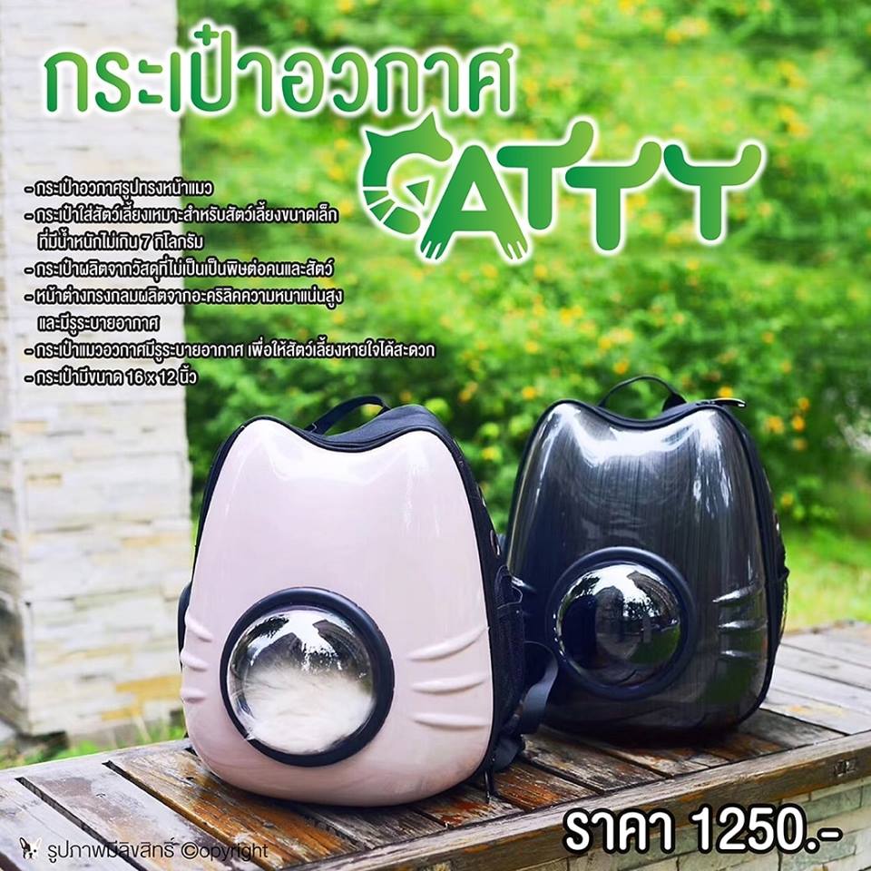 กระเป๋าเป้อวกาศ ใส่สัตว์เลี้ยง