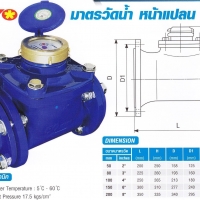 มิเตอร์น้ำ 2 ชั้น 3'' TAYO (50MM-200MM)