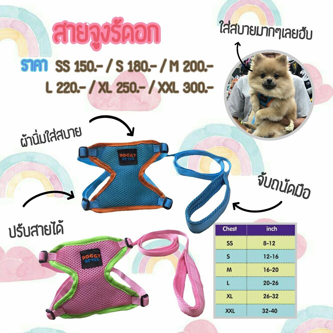 สายจูงรัดอก