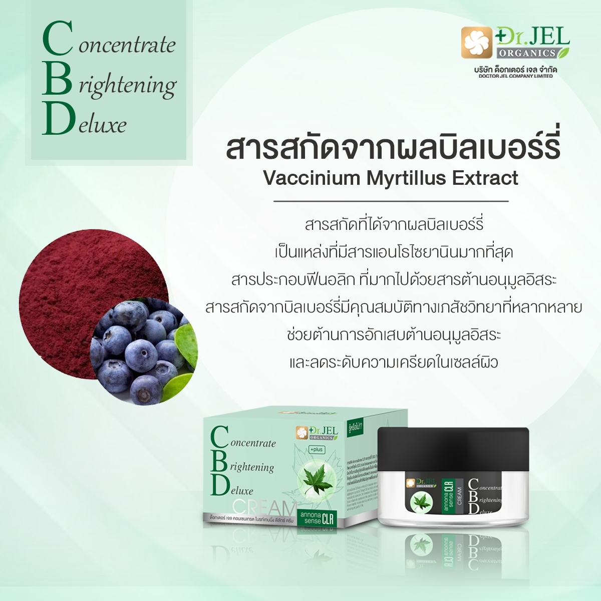 CBD Cream สารสกัดจากผลบิลเบอร์รี่ 