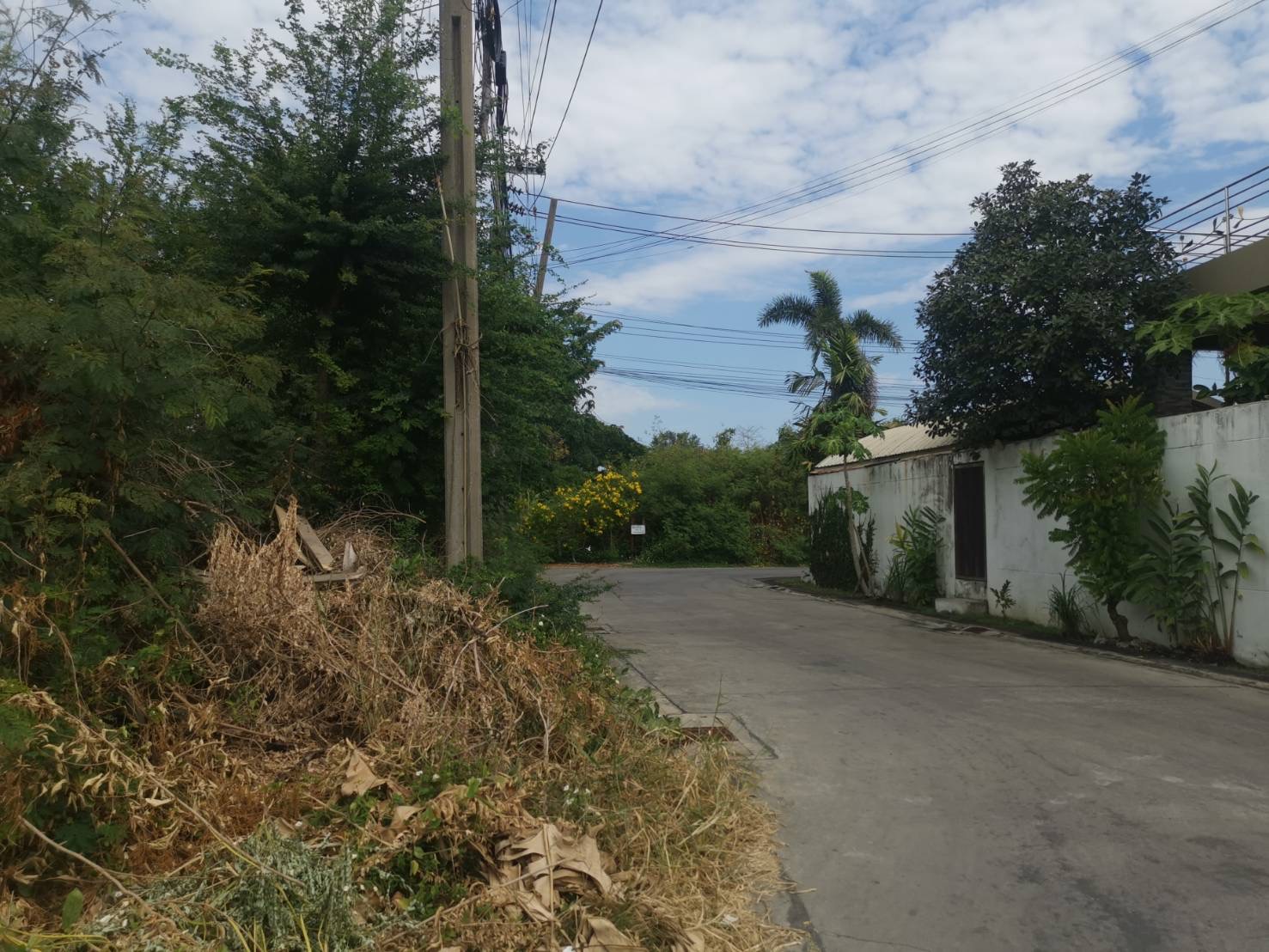 ที่ดินเปล่า ซอยเฉลิมพระเกียรติ ร.9 48