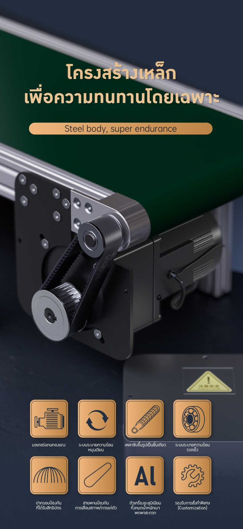 มินิสายพานลำเลียง (Mini Belt Conveyor System)