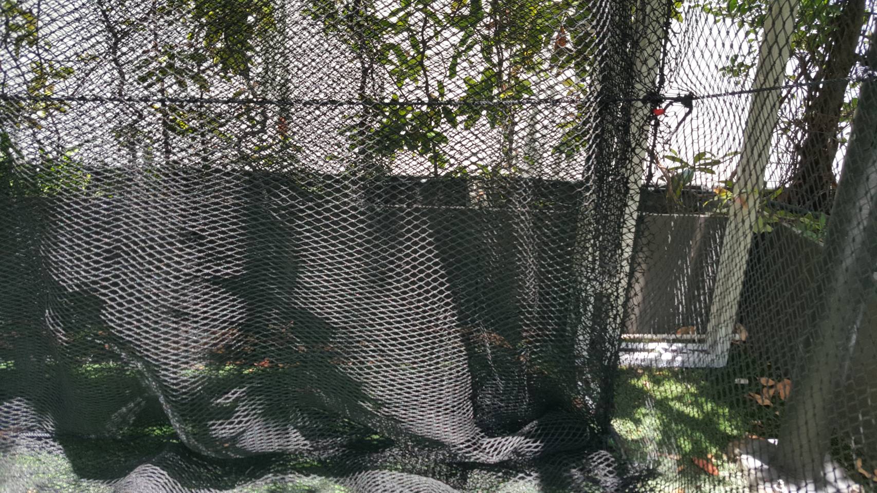 ตาข่ายกั้นลูกกอล์ฟ ตาข่ายสนามซ้อมไดร์ฟกอล์ฟในบ้าน 0966545356