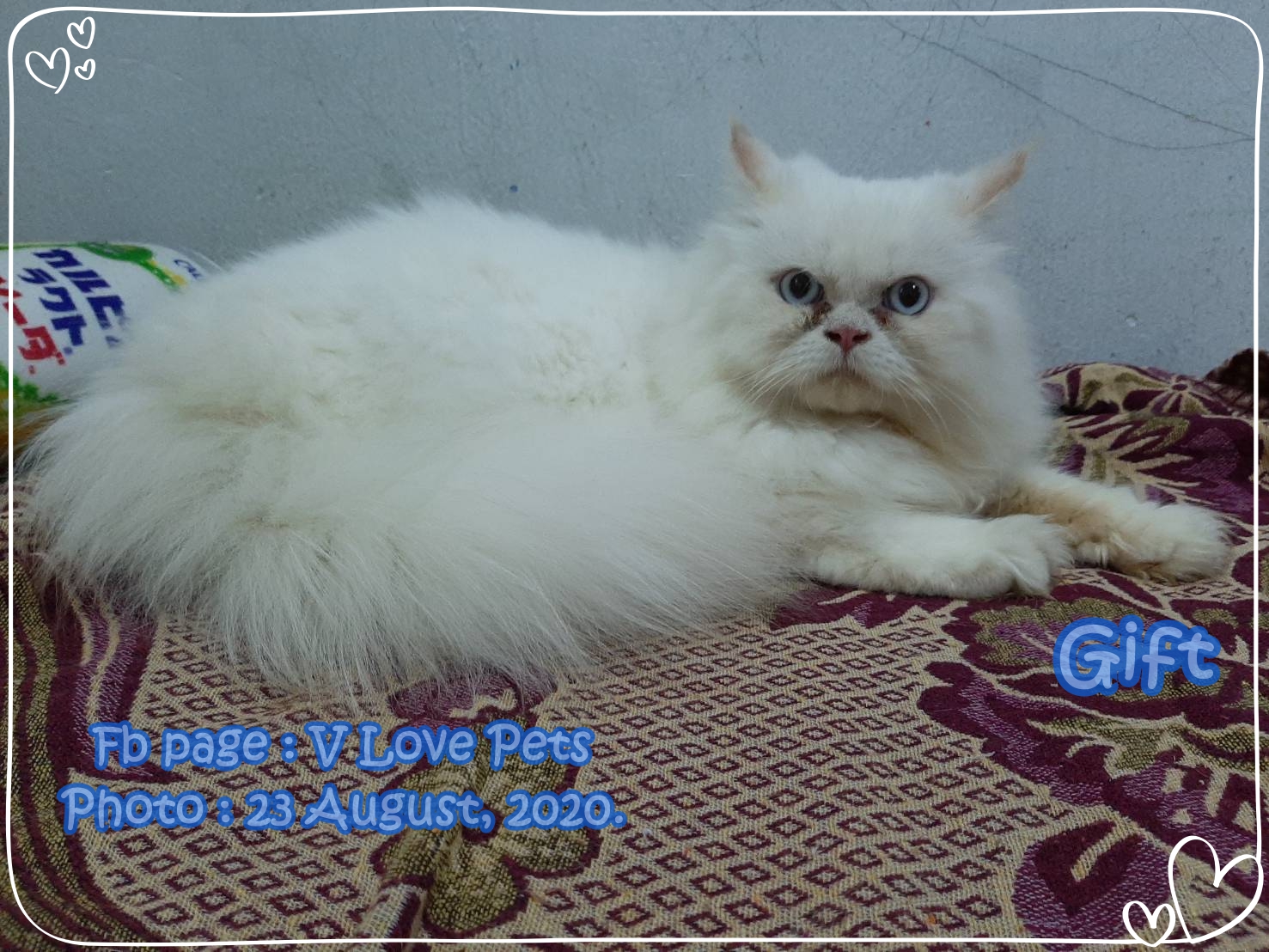 น้องกิ๊ฟ