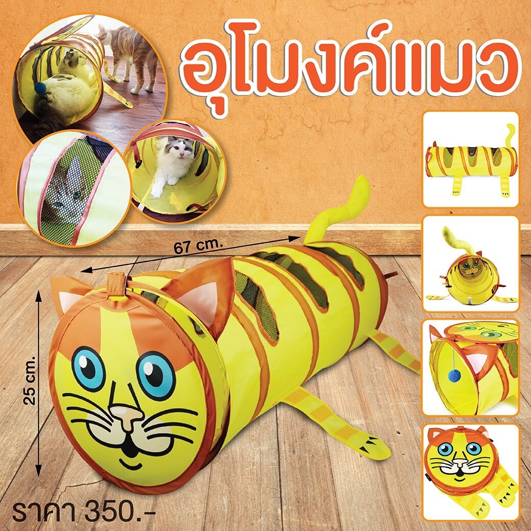 ของเล่น อุโมงค์แมว