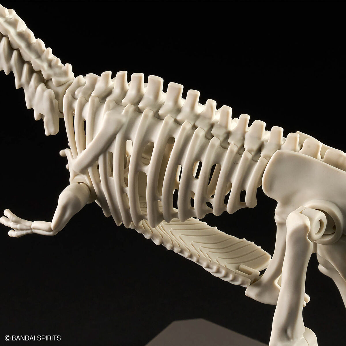 PLANNOSAURUS GIGANOTOSAURUS