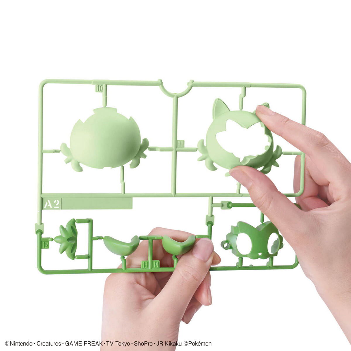 POKEMON PLAMO COLLECTION QUICK SPRIGATITO