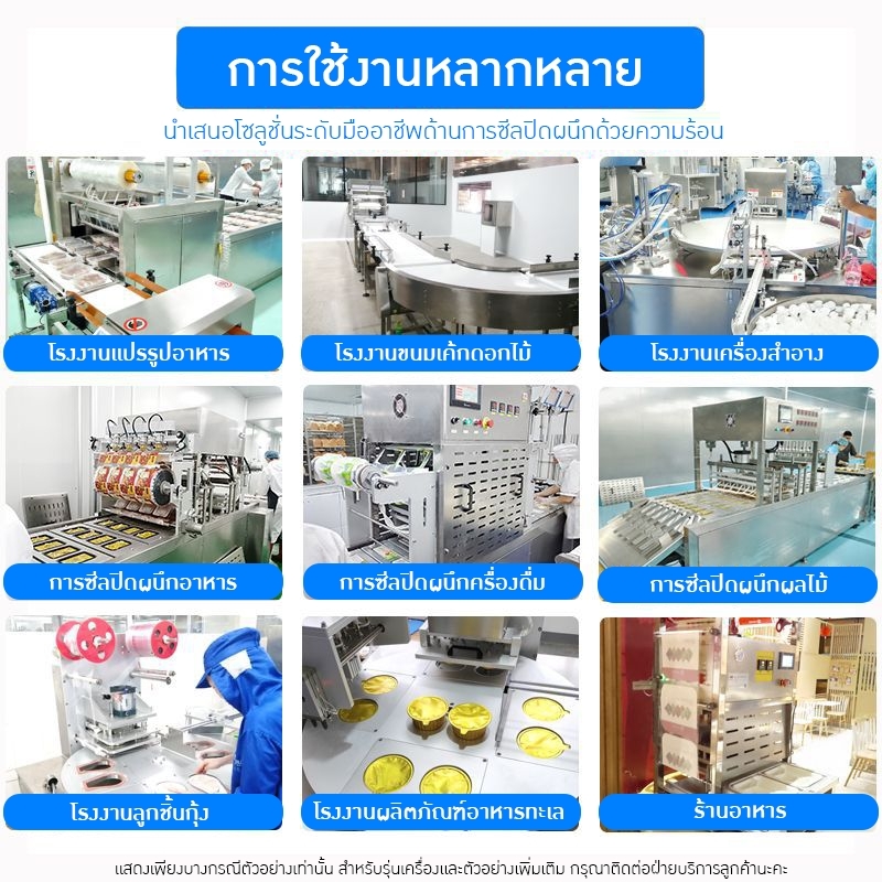21340 เครื่องบรรจุแผงบลิสเตอร์ (Blister Packing Machine)