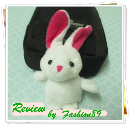 ตุ๊กตาแคทนิป (catnip toy)