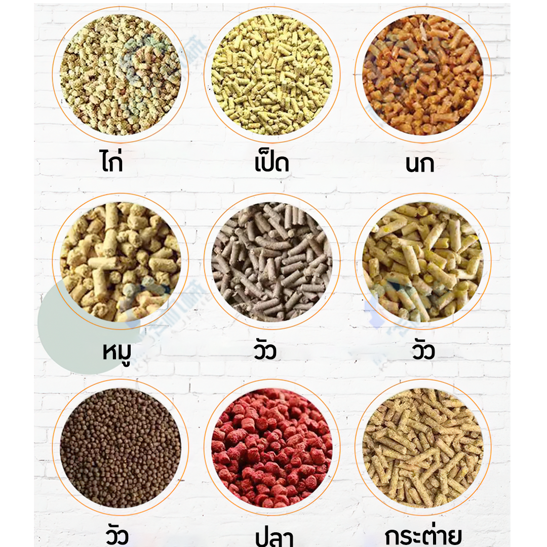 🌈13168 เครื่องอัดเม็ดอาหารสัตว์ อาหารอัดเม็ด แมว ปลา ไก่ นก วัว ใช้งานง่าย รุ่น 125 220v 4kw. animal feed pellet machine