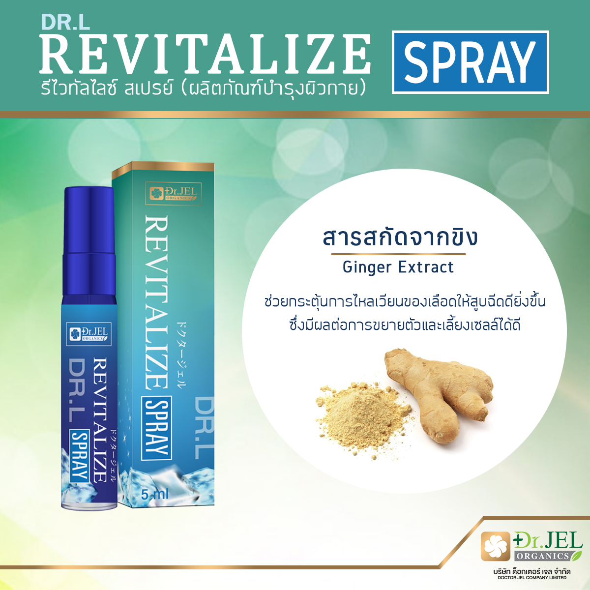 สารสกัดจากขิง ส่วนประกอบสำคัญ สเปรย์ Dr.L Revitalize Spray