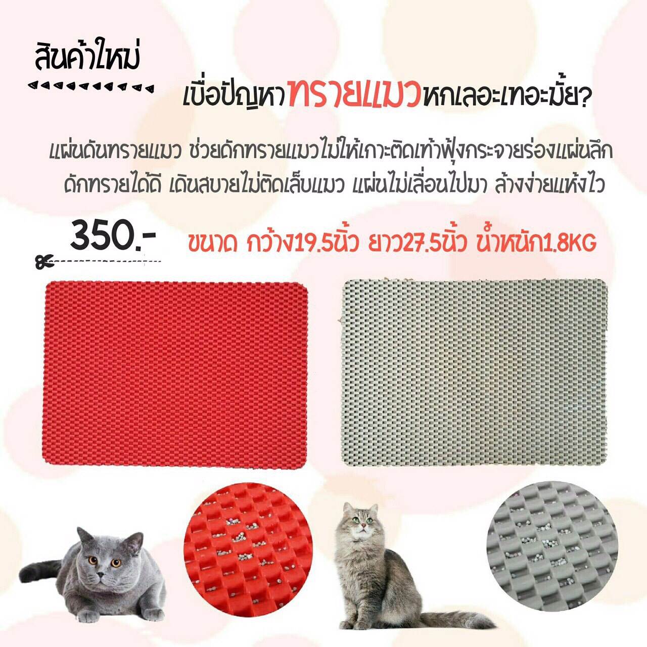 แผ่นดักทรายแมว