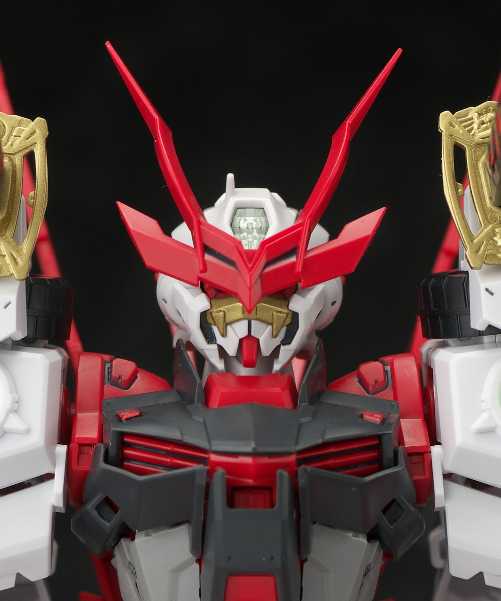 MG 1/100 SENGOKU ASTRAY GUNDAM