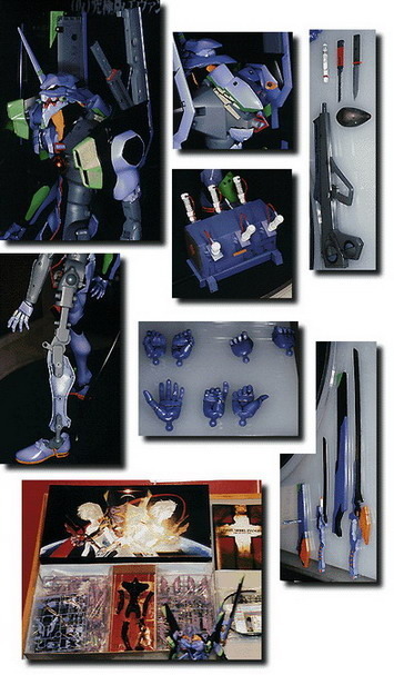 Perfect Grade EVA-01 Test Type