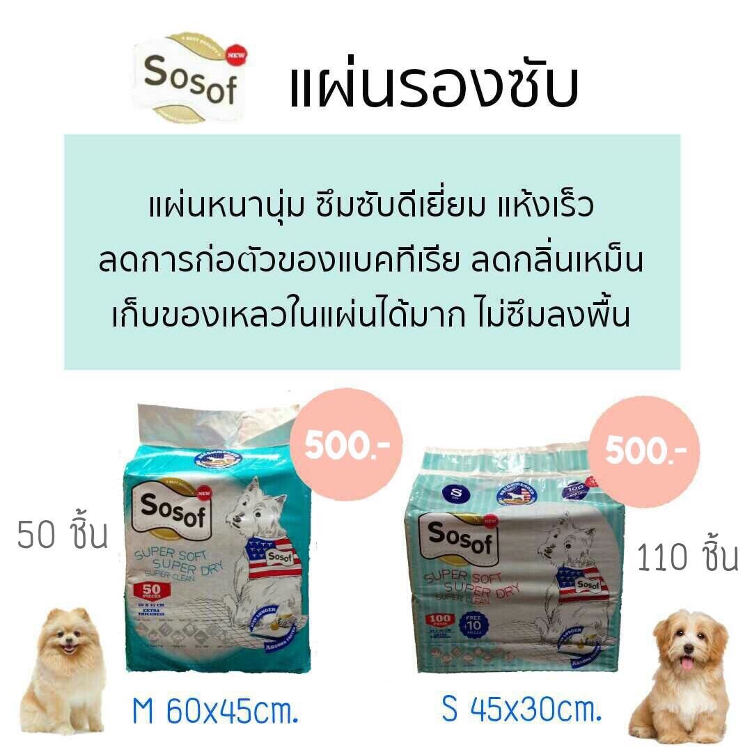 แผ่นรองซับ ฝึกขับถ่าย