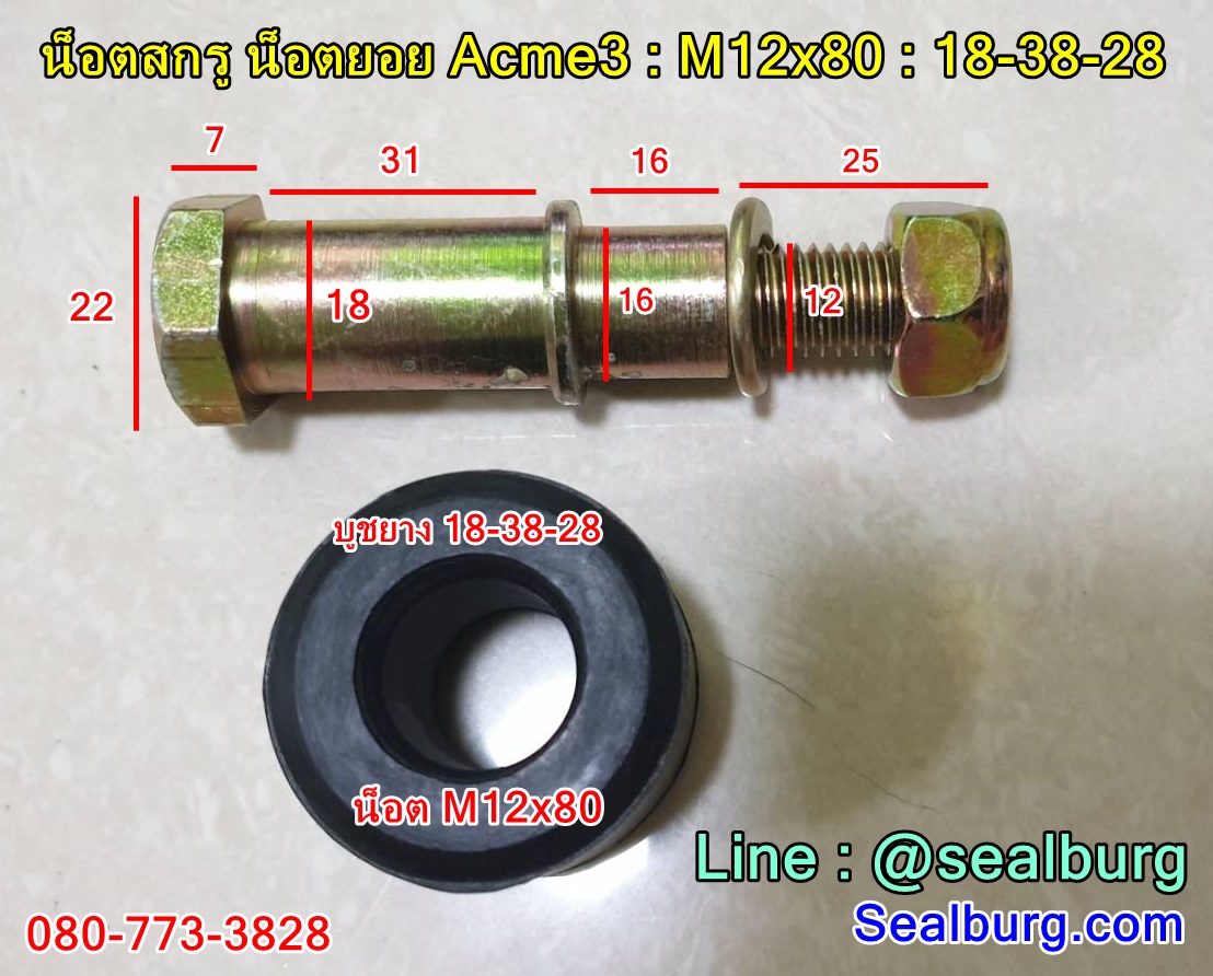 น็อตสกรู น็อตยอย ACME3 : M12x80 : 18-38-28