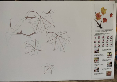 ชุดคิวลิ่งและอุปกรณ์